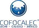 Cofocalec